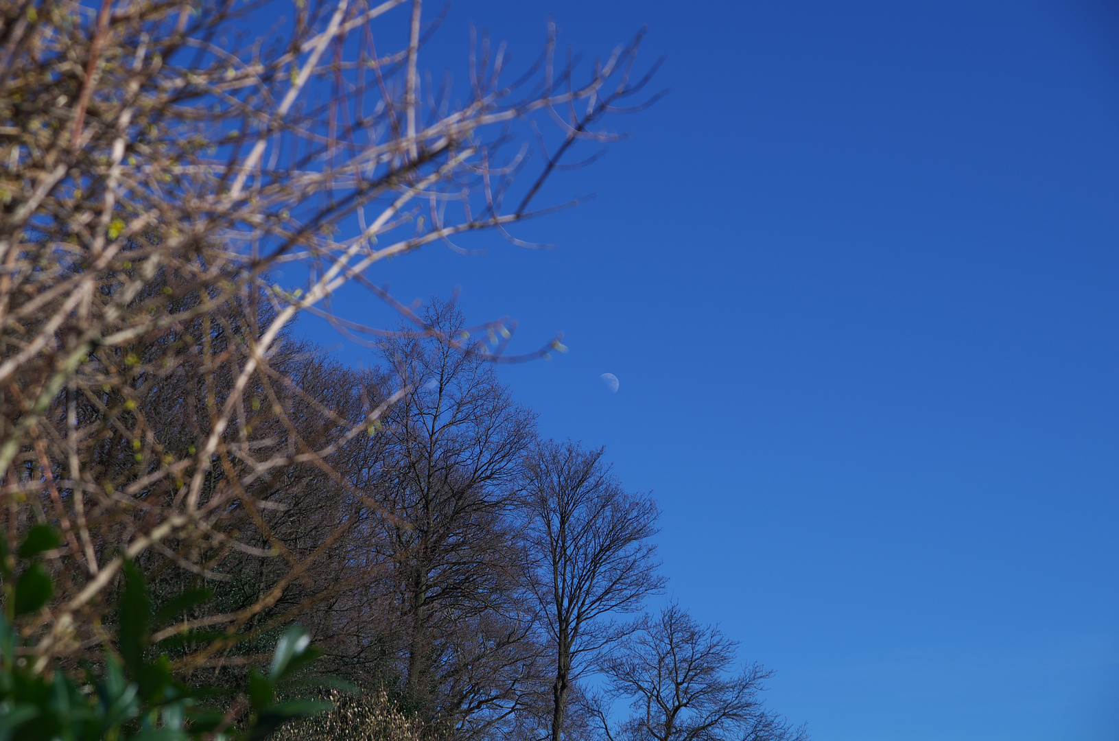 Ein erster Sonniger Tag nach dem Winter