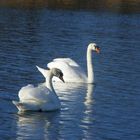 Ein erster warmer Frühjahrstag an der Schlei