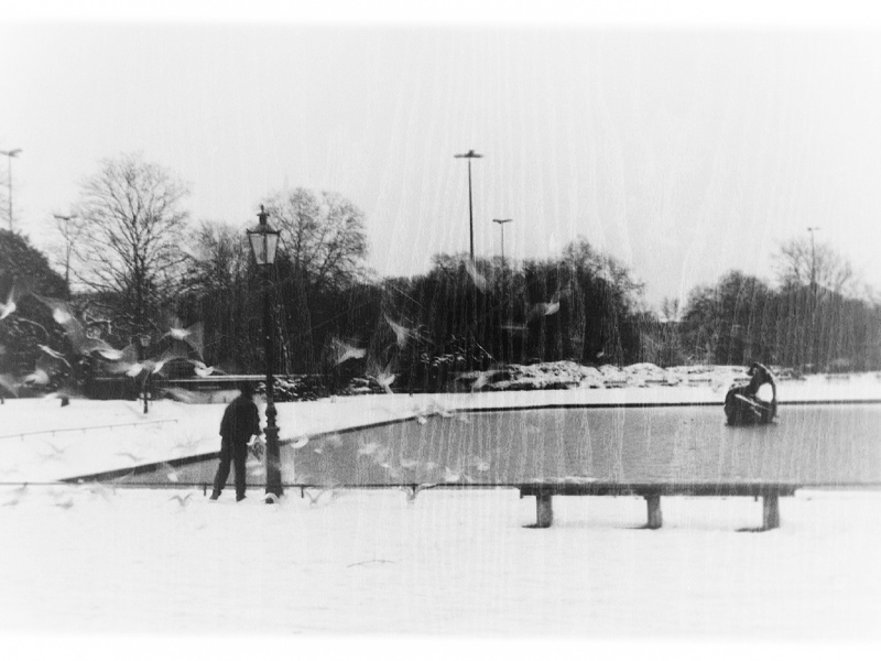 ein erzählbild mit unbekannten möwen und einem unbekannten möwenfütterer in einer unbekannten stadt