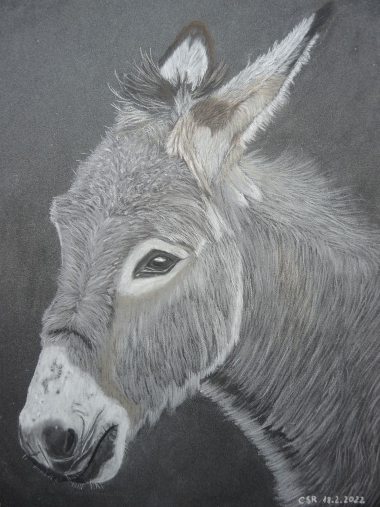 Bild Esel Gemalt: Unleashing the Artistic Spirit Within