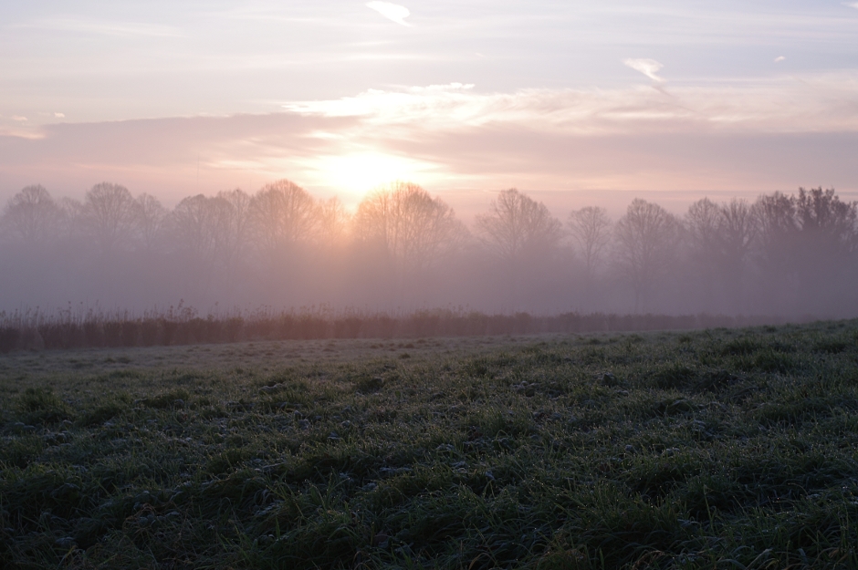 Ein Essener Novembermorgen