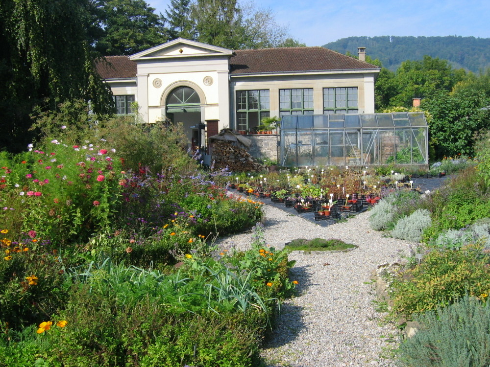 Ein etwas anderer Gartenmarkt in Teufen