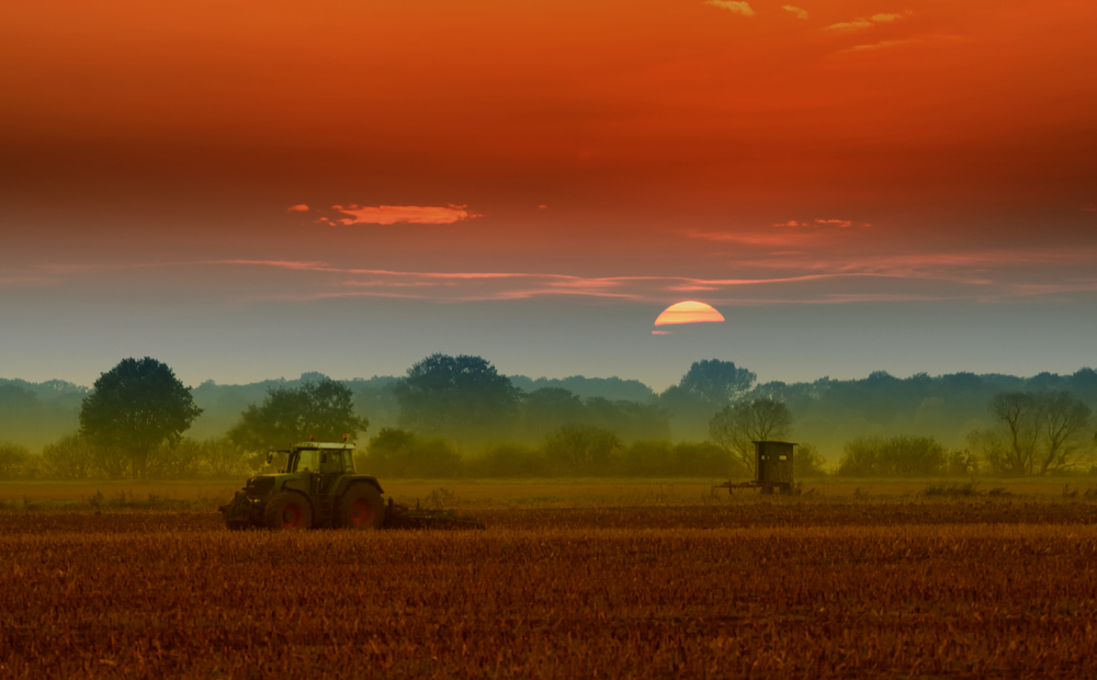 Ein etwas anderer Sonnenuntergang !