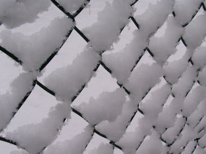 Ein etwas anderer Zaun im Winter.