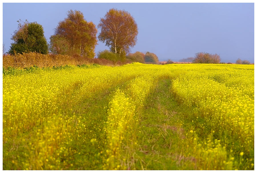 Ein etwas anderes Herbstfoto, oder....