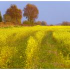 Ein etwas anderes Herbstfoto, oder....