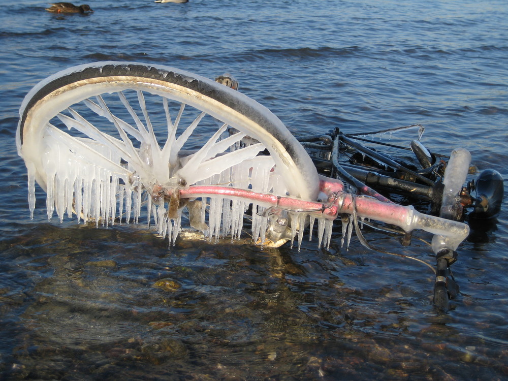 ein Fahrrad im Rhein