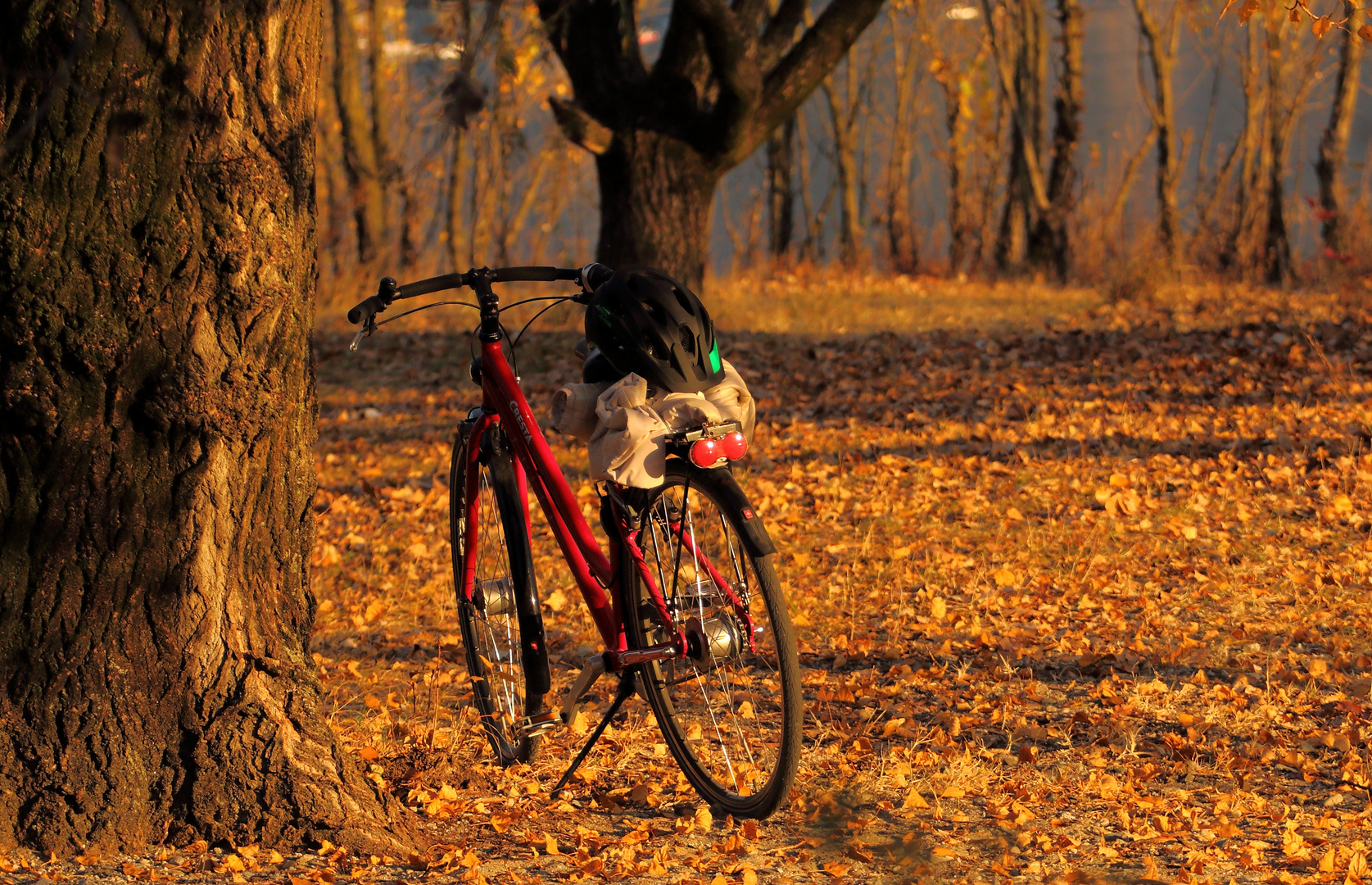 Ein Fahrrad stand alleine......