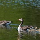 ein Familienausflug