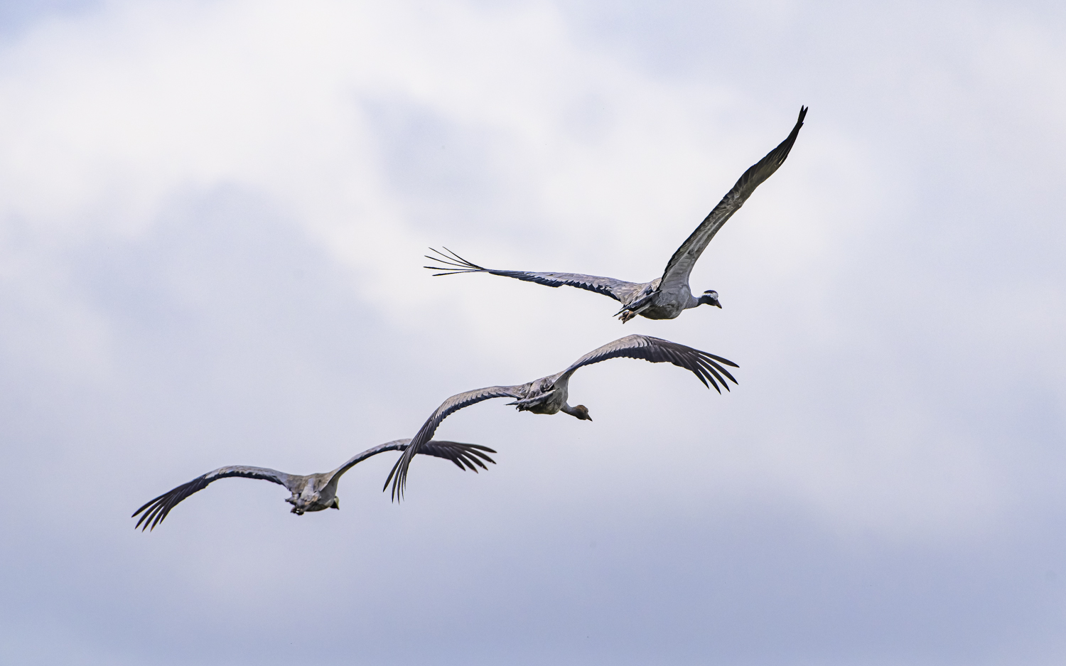 Ein Familienflug