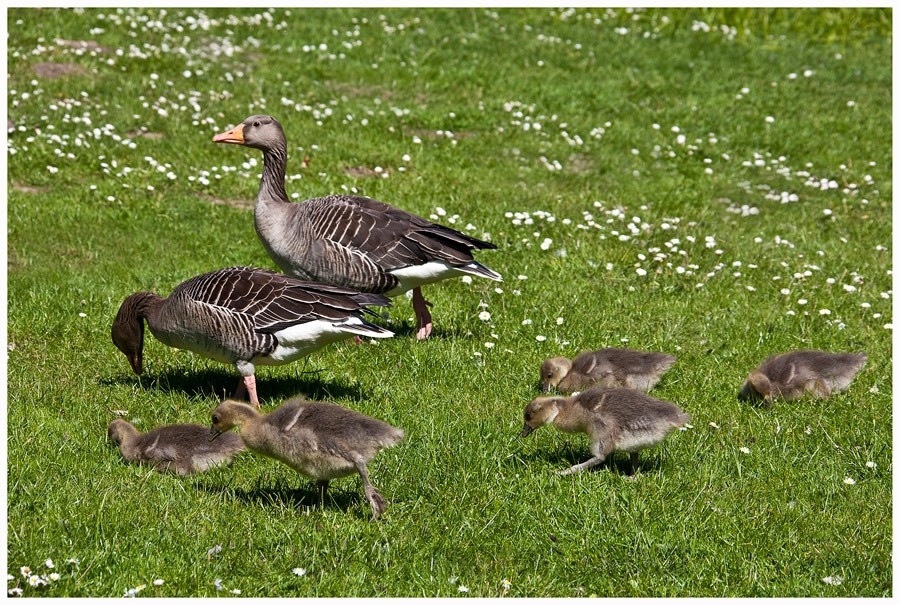 Ein Familienfoto, oder...