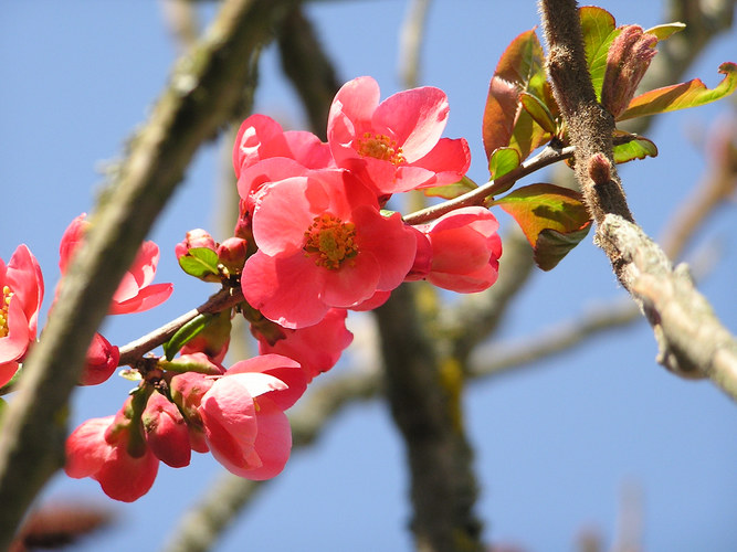 Ein farbenfroher Frühling