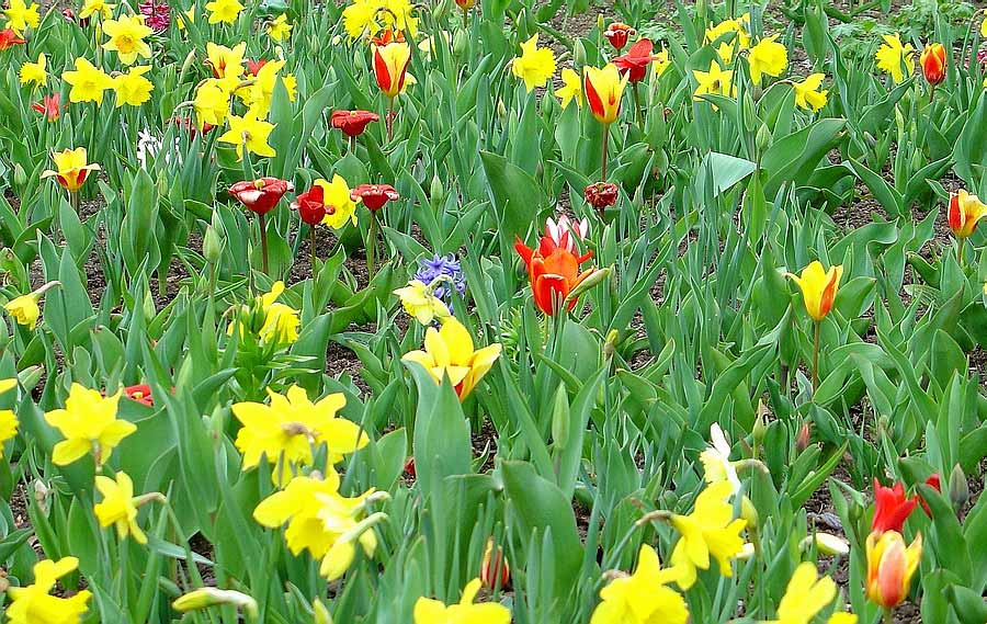 Ein (farben)frohes Wochenende