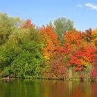 ein Farbenmeer des Herbstes