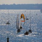 Ein Farbfleck in der Kieler Förde