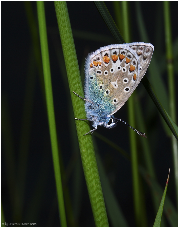 Ein Farbtupfer ...