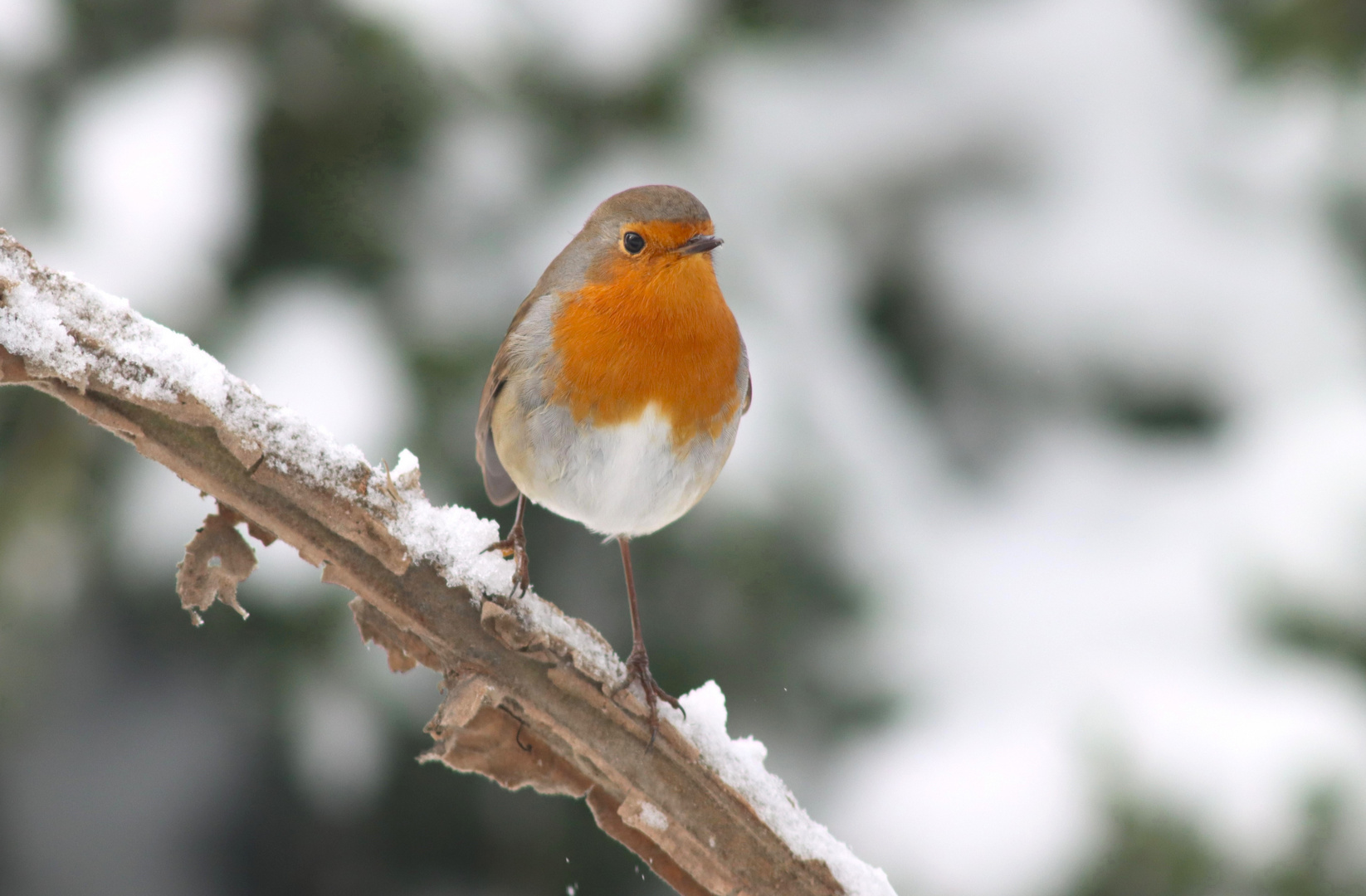 ein Farbtupfer