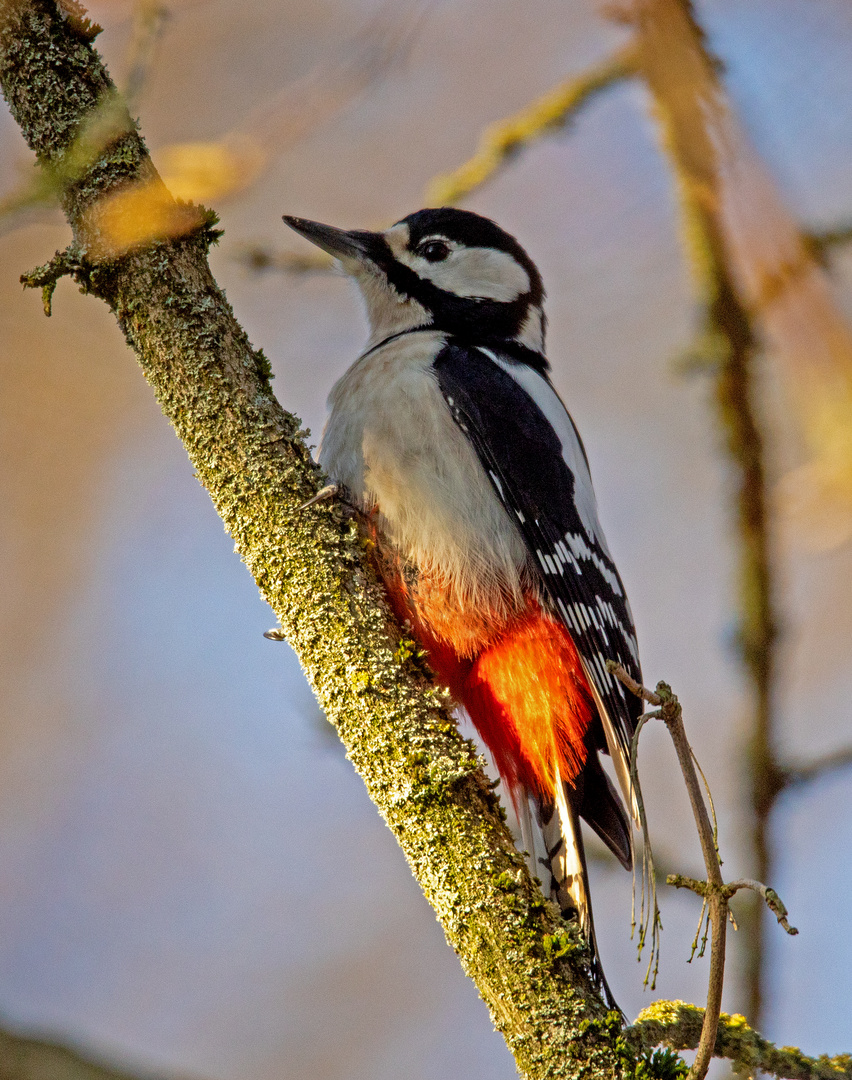 Ein Farbtupfer