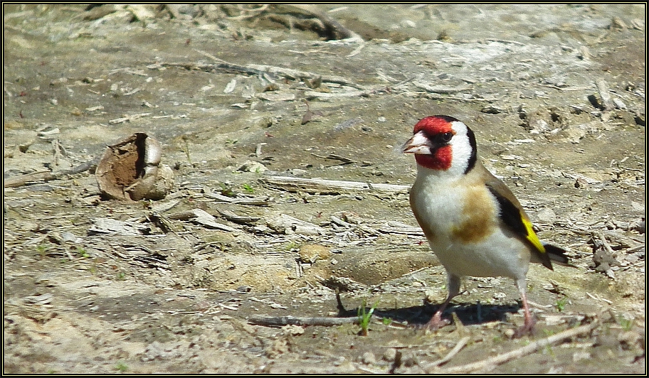 Ein Farbtupfer