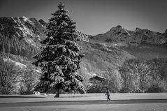 Ein Farbtupfer beim Skilanglauf