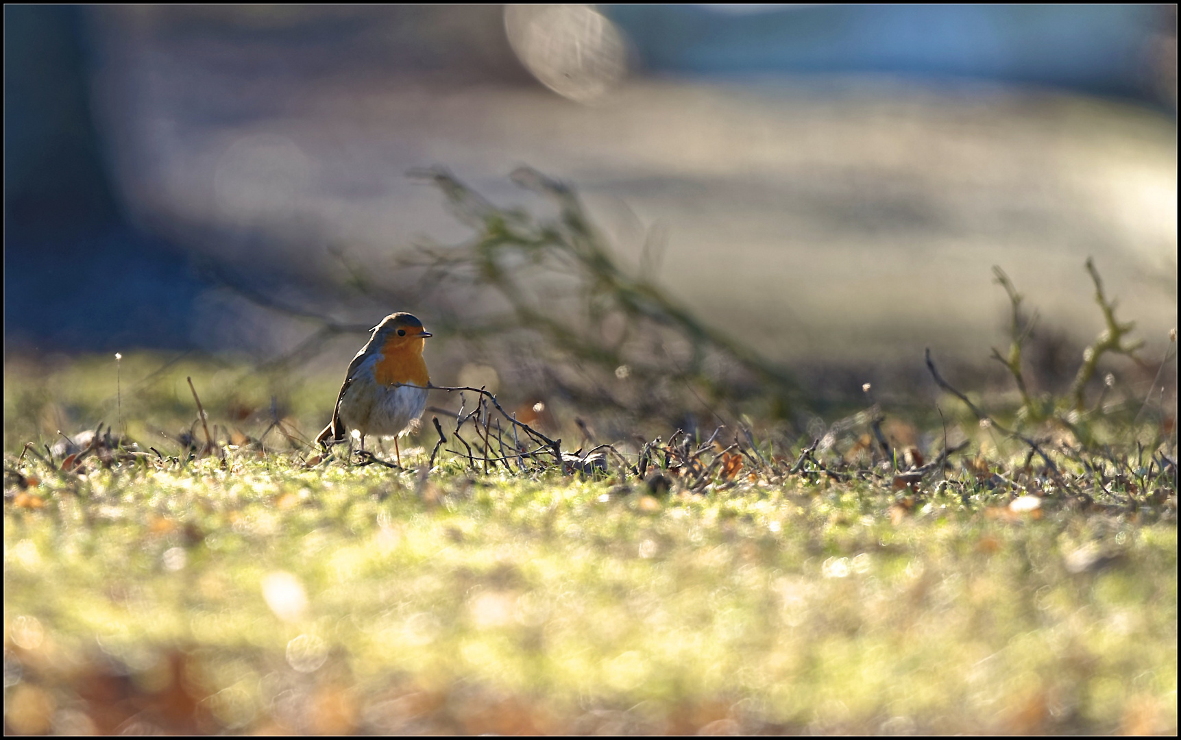 Ein Farbtupfer...