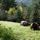 ein Fass aufmachen auf der Bergwiese