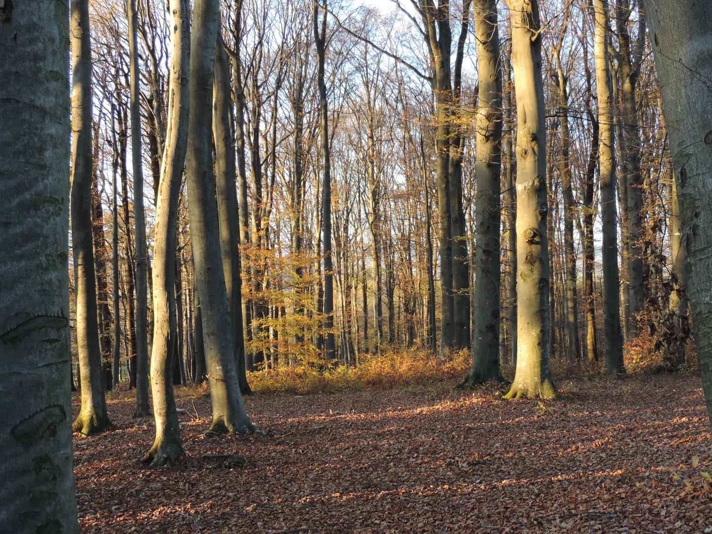 Ein fasst vergessener Weg