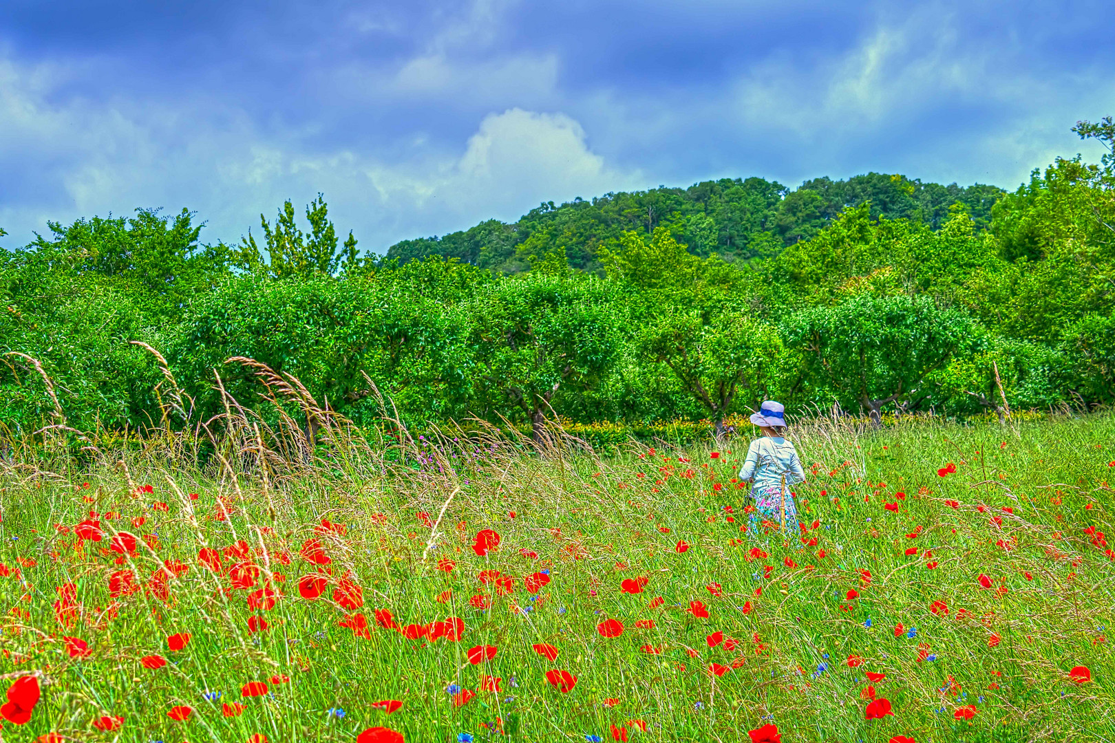 Ein (fast) echter Claude Monet