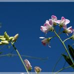 ein Fastschonherbsttag