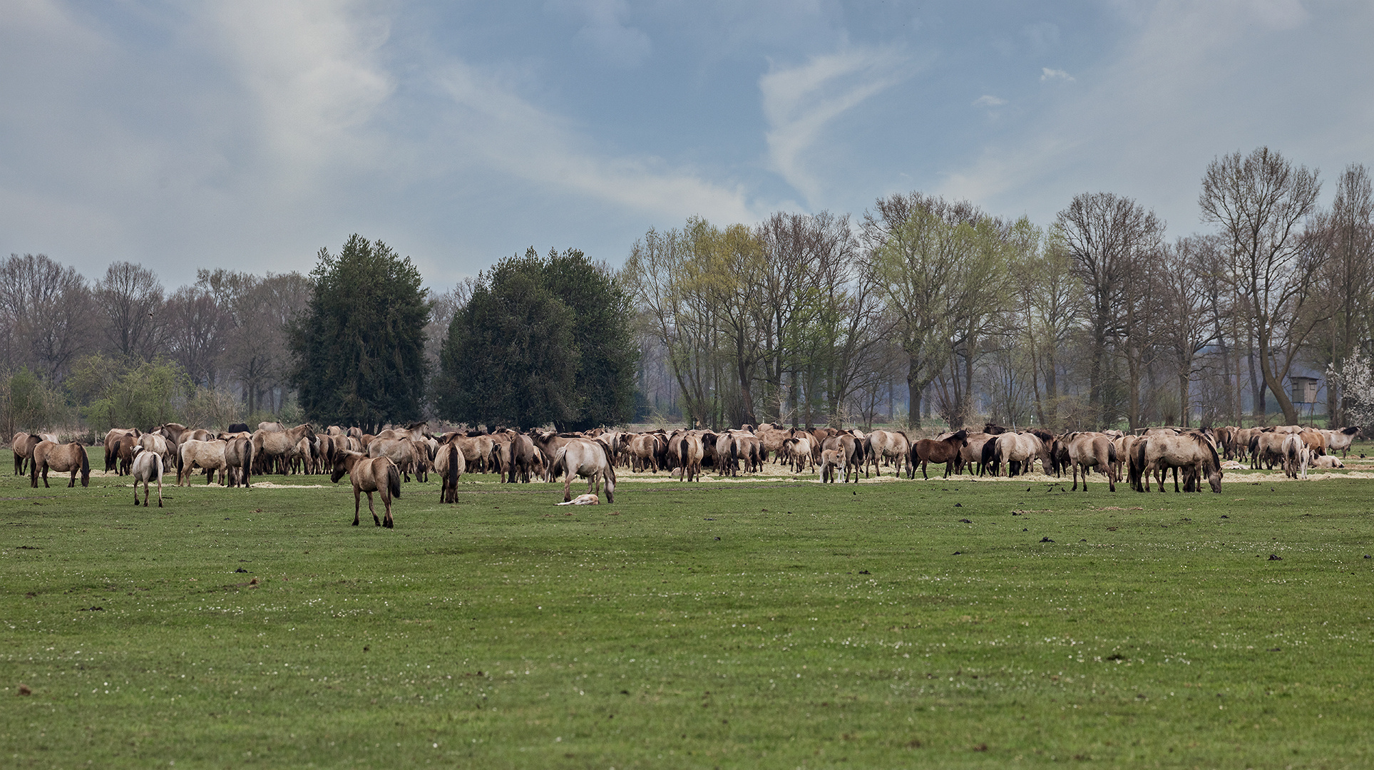 Ein faszinierender Anblick