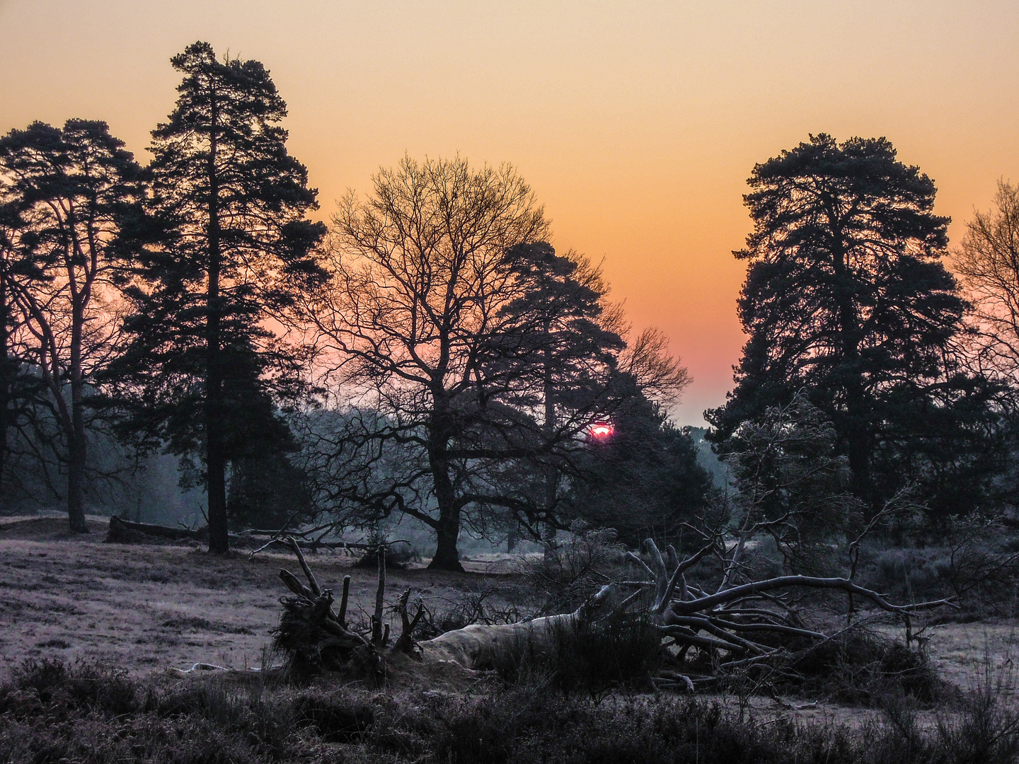 Ein Februarmorgen