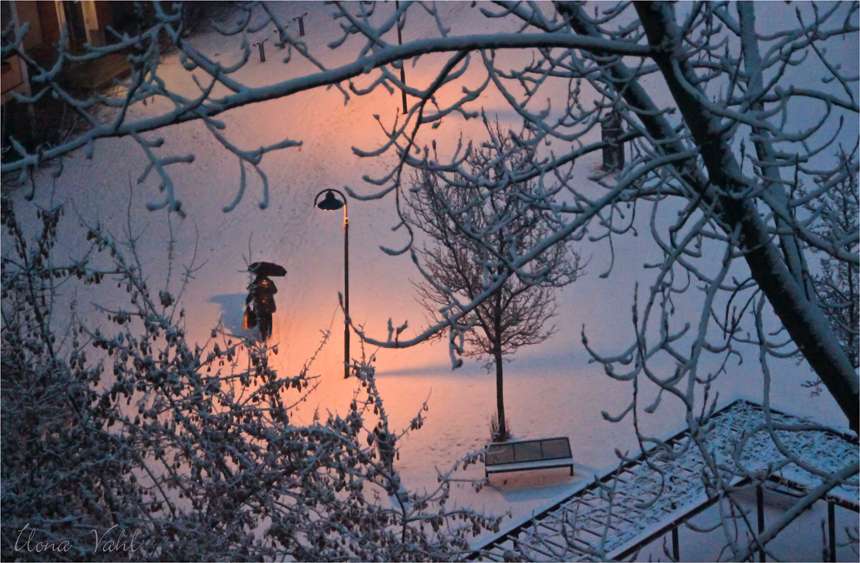 Ein Februarmorgen, um Sieben in Marzahn