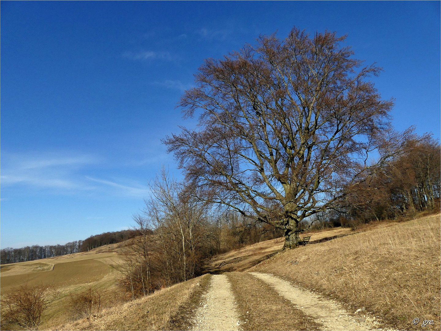 Ein Februartag