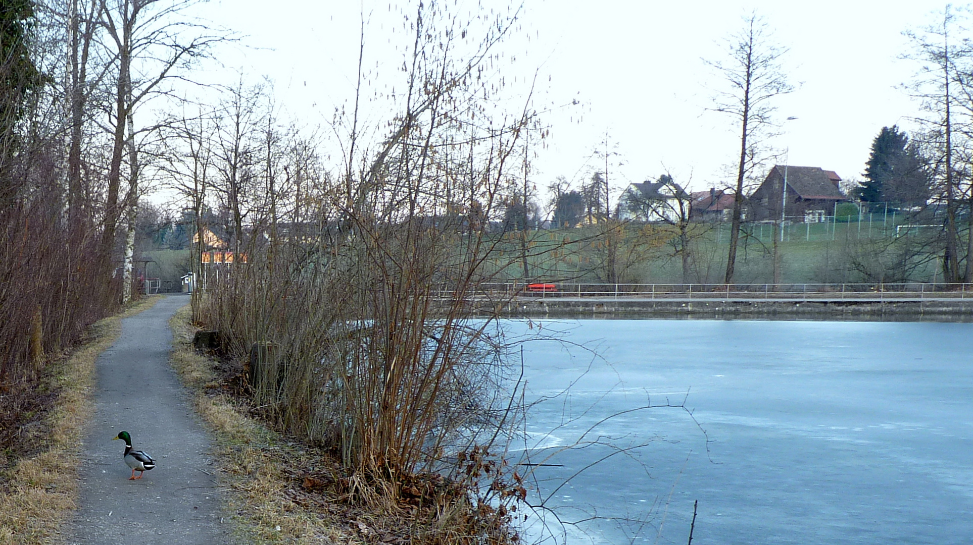 Ein Februartag / un dia en febrero / un jour en février...09