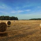 Ein federleichter Sommertag