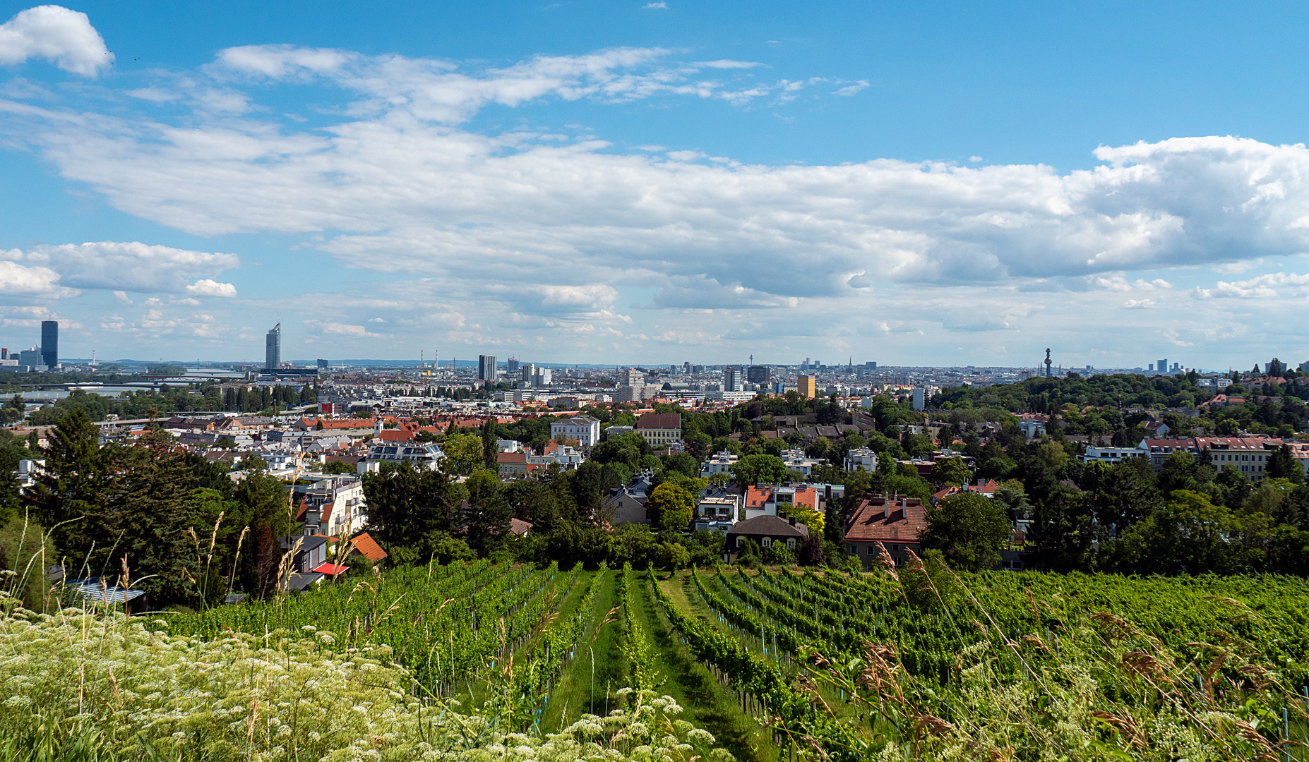 ein feiner sommersonntag