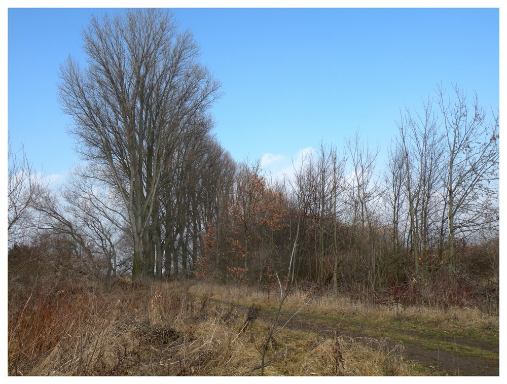 Ein feiner Wanderweg zwischen See und Fluß.