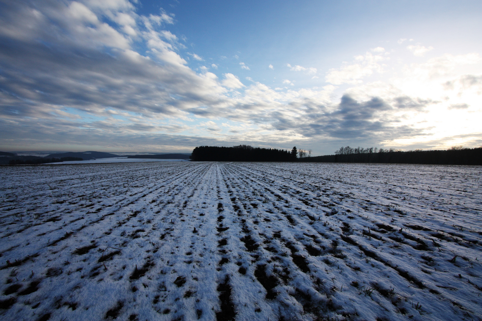 Ein Feld