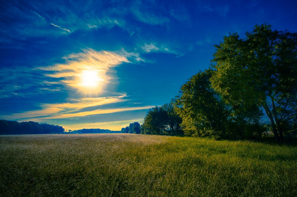 Ein Feld bei Hartefeld