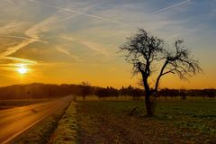 ein Feld, ein Baum: Auftakt 2