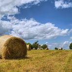 ein Feld im Juli ...