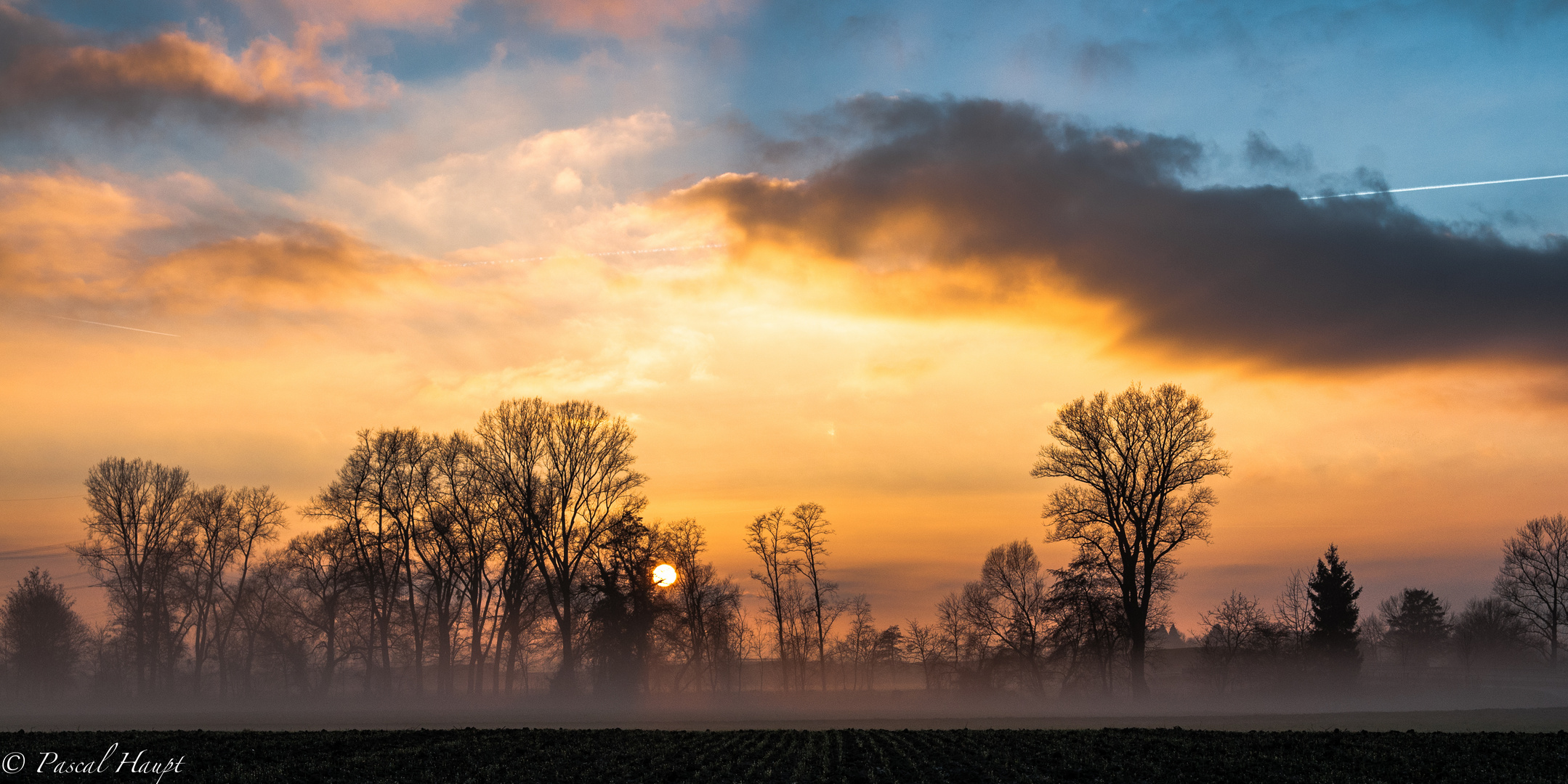 Ein Feld im Markgräflerland