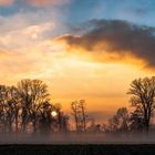 Ein Feld im Markgräflerland