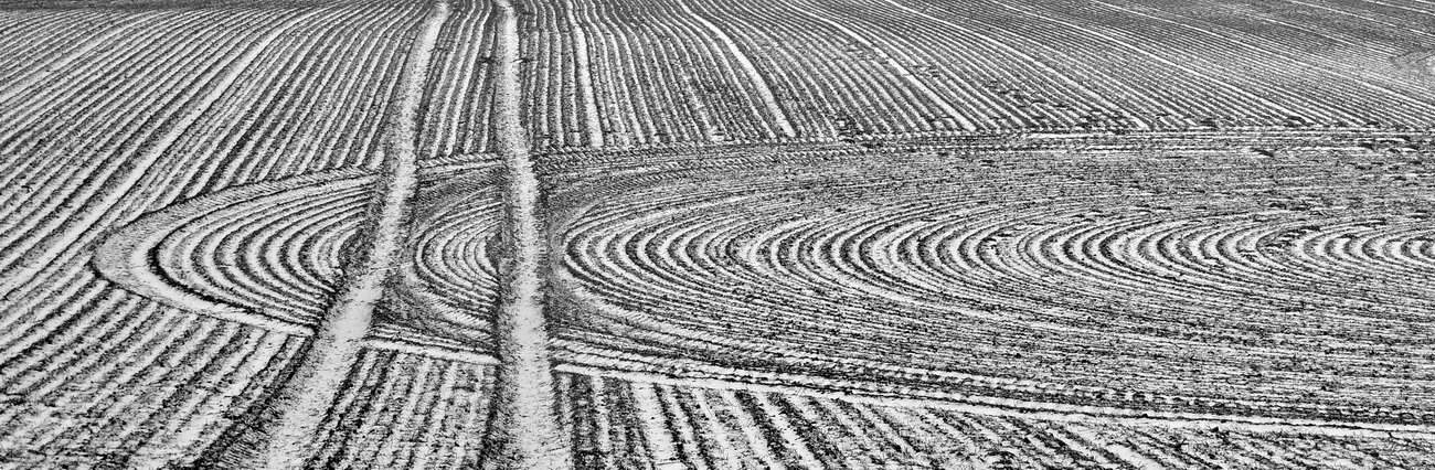 ein feld im winter