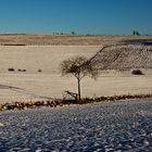 ein feld in der schneifel