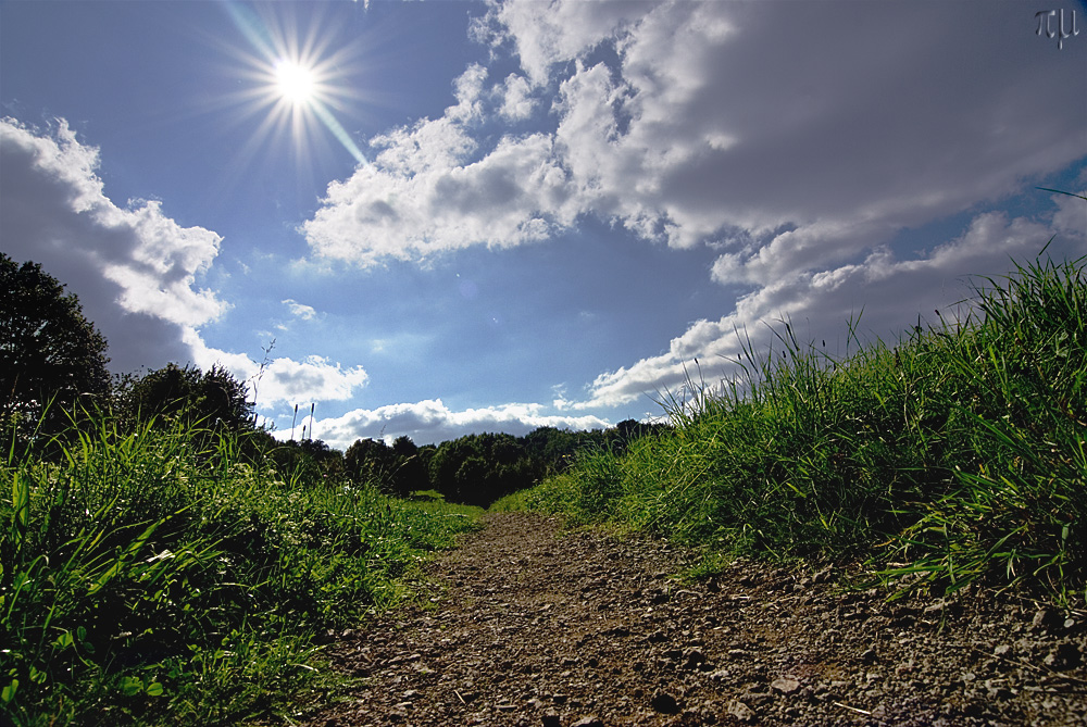 ein feldweg