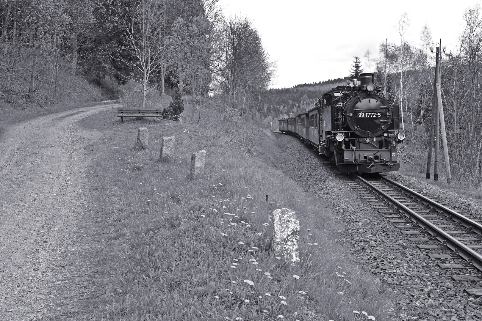 Ein Feldweg bei Niederschlag