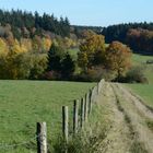 Ein Feldweg im Herbst