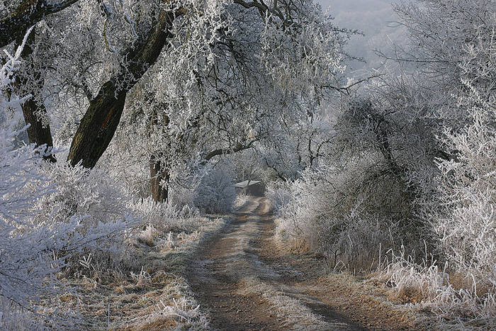 Ein Feldweg im Winter