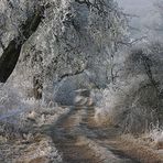 Ein Feldweg im Winter